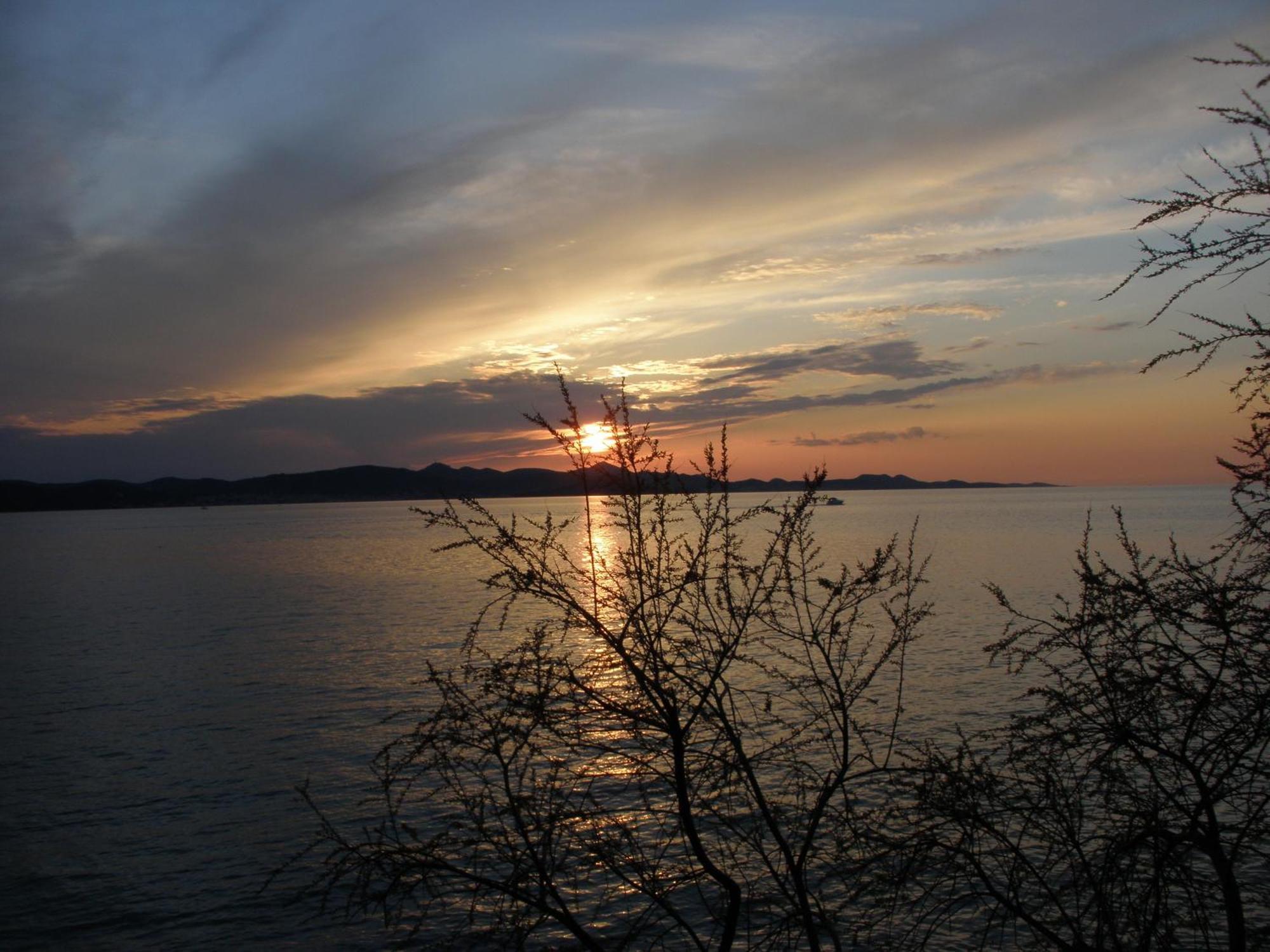 Pansion Marta Otel Bibinje Dış mekan fotoğraf